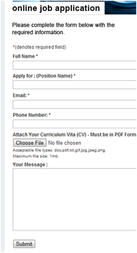 Online job application form